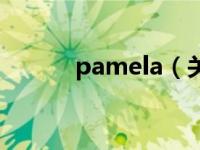 pamela（关于pamela的介绍）