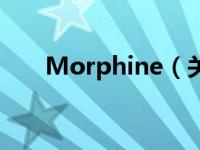 Morphine（关于Morphine的介绍）