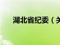 湖北省纪委（关于湖北省纪委的介绍）