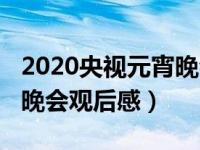 2020央视元宵晚会节目观后感（2020年元宵晚会观后感）