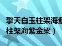 擎天白玉柱架海紫金梁定海神针铁（擎天白玉柱架海紫金梁）