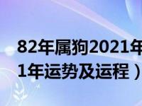 82年属狗2021年运势易云道（82年属狗2021年运势及运程）