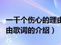 一千个伤心的理由歌词（关于一千个伤心的理由歌词的介绍）