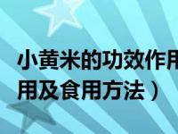 小黄米的功效作用及禁忌（小黄米的功效与作用及食用方法）