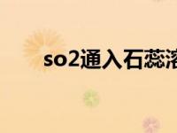 so2通入石蕊溶液（so2通入氯化钡）