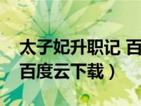 太子妃升职记 百度网盘资源（太子妃升职记百度云下载）