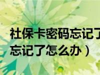 社保卡密码忘记了在哪能查到呢（社保卡密码忘记了怎么办）