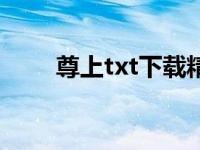 尊上txt下载精校版（尊上txt下载）