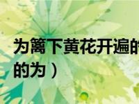 为篱下黄花开遍的为的读音（为篱下黄花开遍的为）