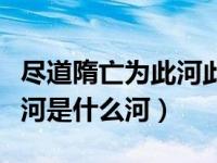 尽道隋亡为此河此河指哪条河（尽道隋亡为此河是什么河）