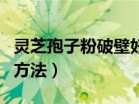 灵芝孢子粉破壁好处（破壁灵芝孢子粉的食用方法）