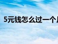 5元钱怎么过一个月（五元钱怎样花一个月）