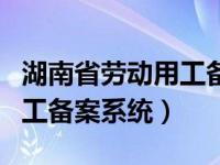 湖南省劳动用工备案系统网址（湖南省劳动用工备案系统）