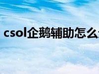 csol企鹅辅助怎么无限子弹（csol企鹅辅助）