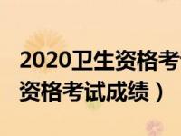 2020卫生资格考试成绩查询入口（2020卫生资格考试成绩）