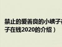 禁止的爱善良的小峓子在钱2020（关于禁止的爱善良的小峓子在钱2020的介绍）