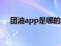 团油app是哪的油（团油app是真的吗）