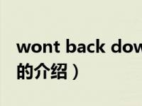 wont back down（关于wont back down的介绍）