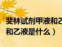 斐林试剂甲液和乙液使用方法（斐林试剂甲液和乙液是什么）