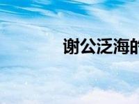 谢公泛海的翻译（谢公泛海）