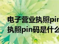 电子营业执照pin码忘记了怎么办（电子营业执照pin码是什么）