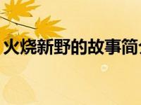 火烧新野的故事简介50字（火烧新野的故事）