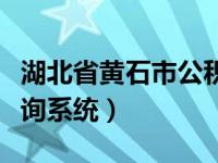 湖北省黄石市公积金查询系统（黄石公积金查询系统）