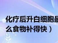 化疗后升白细胞最快食物排行（白细胞低吃什么食物补得快）