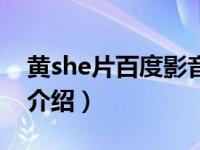 黄she片百度影音（关于黄she片百度影音的介绍）