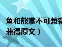 鱼和熊掌不可兼得该怎么选择（鱼和熊掌不可兼得原文）