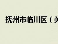 抚州市临川区（关于抚州市临川区的介绍）