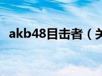 akb48目击者（关于akb48目击者的介绍）