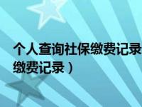 个人查询社保缴费记录系统升级怎么办（个人怎么查询社保缴费记录）