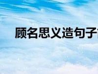 顾名思义造句子简单（顾名思义造句子）