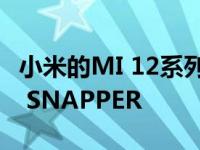 小米的MI 12系列可能会推出200MP SELFIE SNAPPER