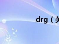 drg（关于drg的介绍）