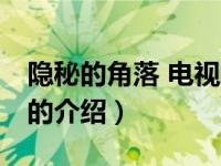 隐秘的角落 电视剧（关于隐秘的角落 电视剧的介绍）