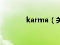 karma（关于karma的介绍）