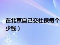 在北京自己交社保每个月多少钱（北京自己交社保一个月多少钱）