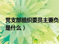 党支部组织委员主要负责什么工作（党支部组织委员的职责是什么）