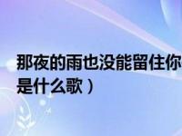 那夜的雨也没能留住你是首什么歌（那夜的雨也没能留住你是什么歌）