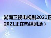 湖南卫视电视剧2021正在热播剧场宋丹丹（湖南卫视电视剧2021正在热播剧场）