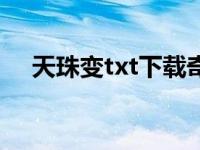 天珠变txt下载奇书网（天珠变txt下载）