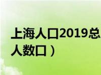 上海人口2019总人数排名（上海人口2019总人数口）