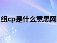 组cp是什么意思网络用语（组cp是什么意思）