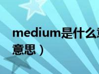 medium是什么意思 翻译（medium是什么意思）