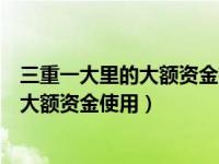 三重一大里的大额资金有数额要求吗（三重一大内容是什么大额资金使用）