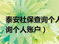 泰安社保查询个人账户查询网站（泰安社保查询个人账户）