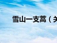 雪山一支蒿（关于雪山一支蒿的介绍）