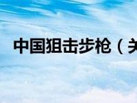 中国狙击步枪（关于中国狙击步枪的介绍）